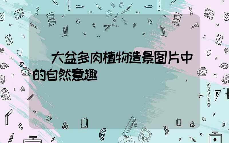  大盆多肉植物造景图片中的自然意趣